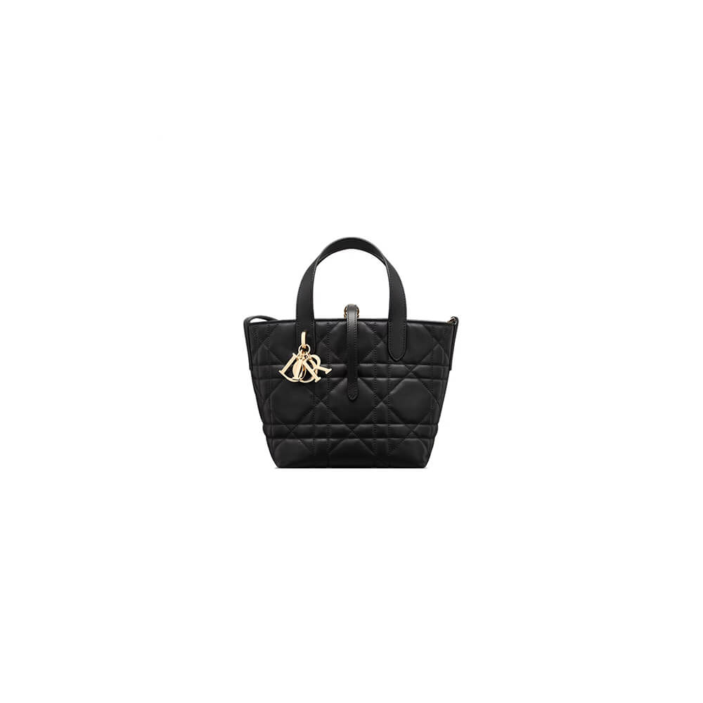 Small Dior Toujours Vertical Tote Bag