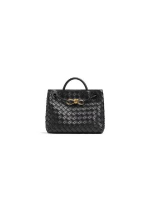 Bottega Veneta Small Andiamo
