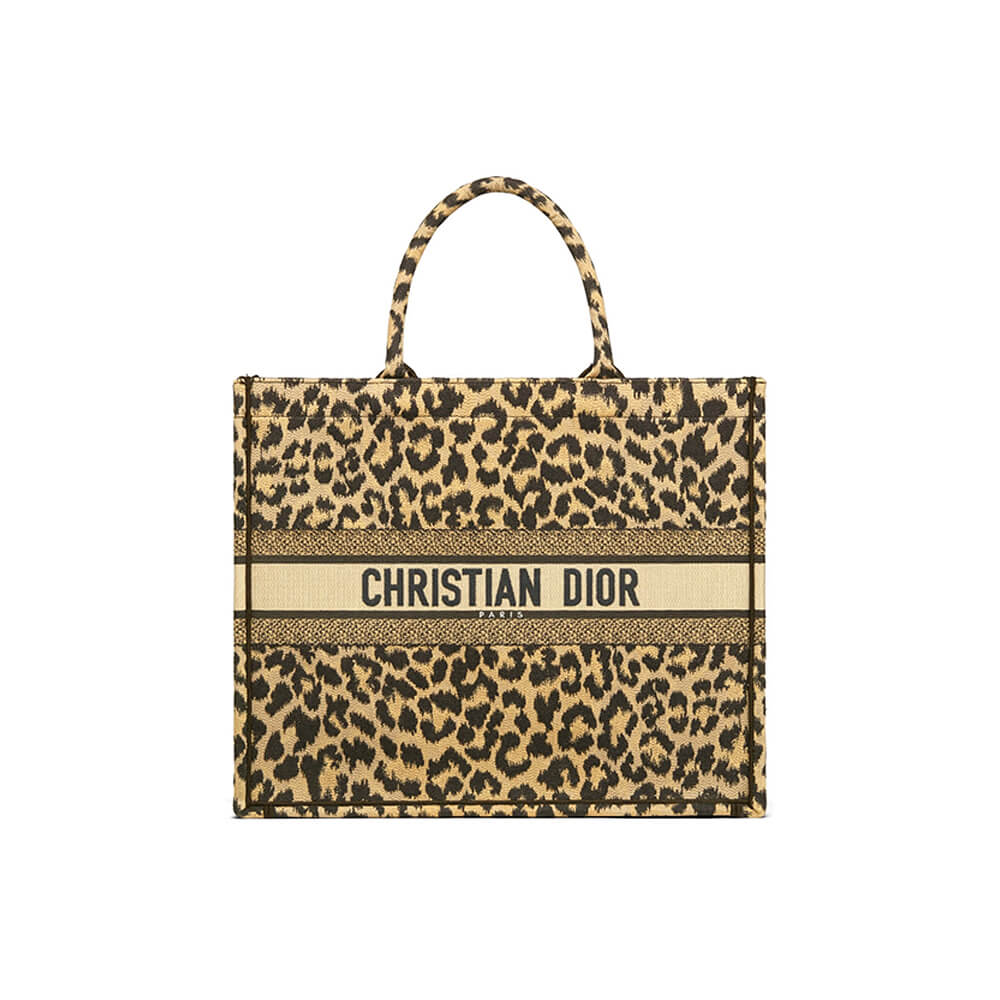 SMALL DIOR BOOK TOTE