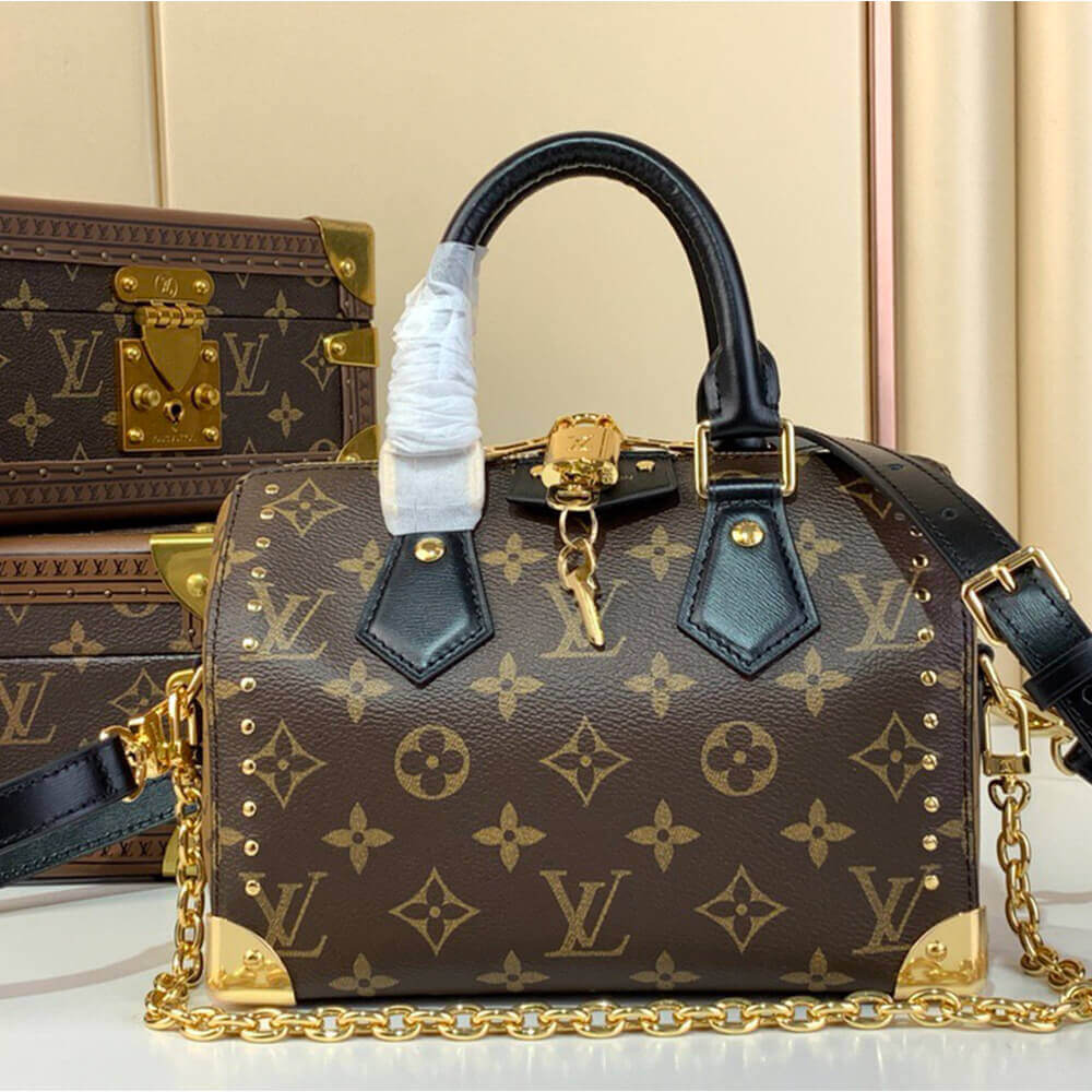 LV Speedy Trunk 20 - Image 2