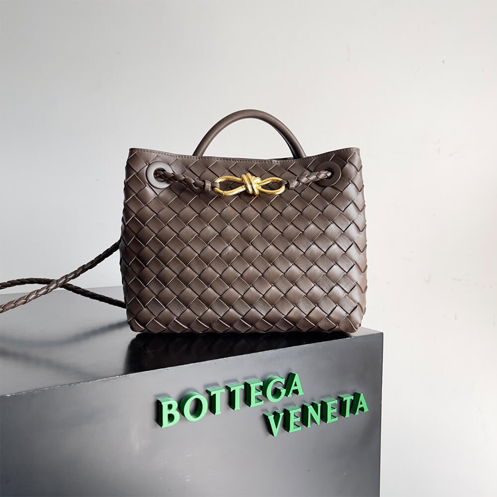 Bottega Veneta Small Andiamo - Image 2
