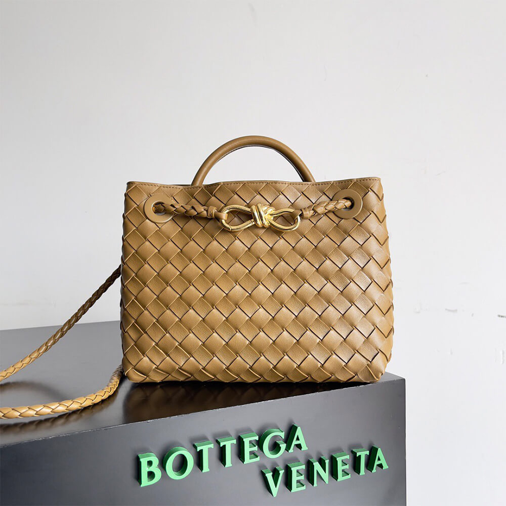 Dark Praline Bottega Veneta Small Andiamo - Image 2