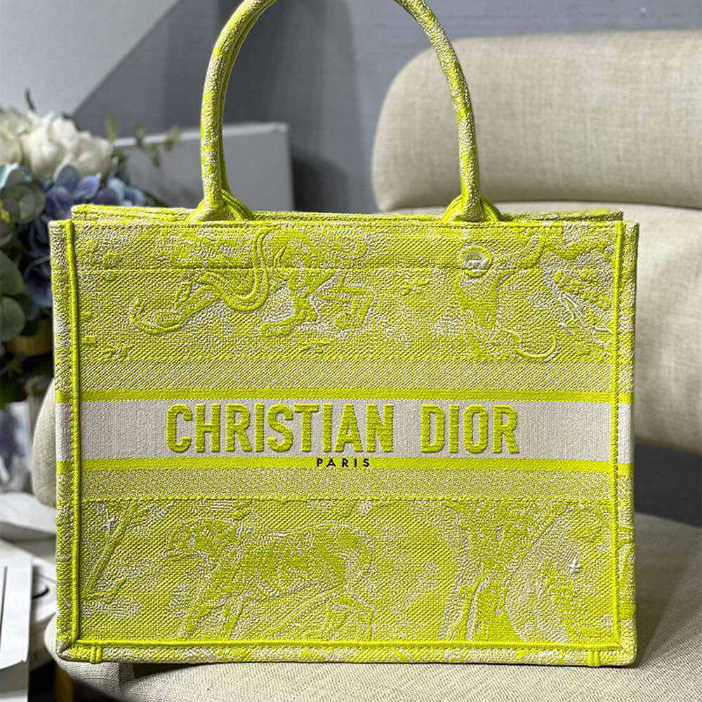 SMALL DIOR BOOK TOTE - Image 2