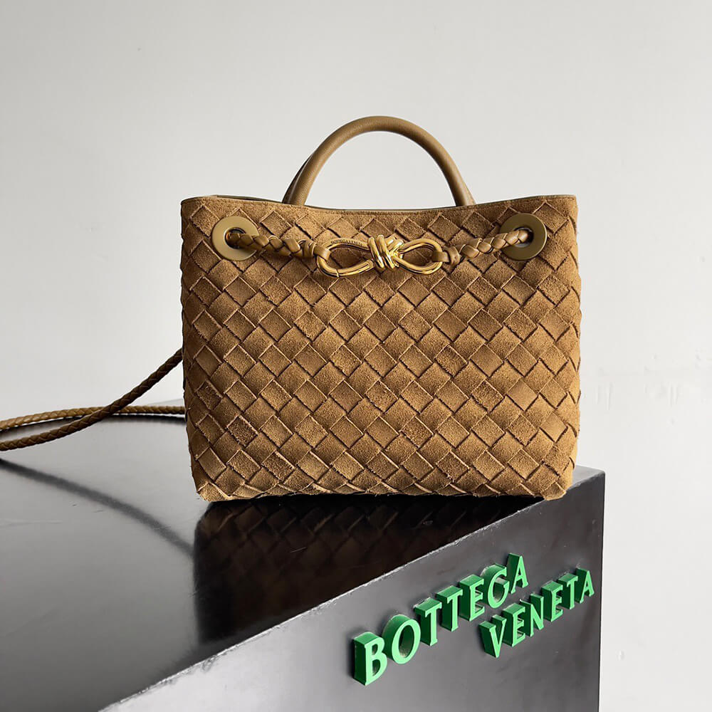 Brown Bottega Veneta Small Andiamo - Image 2