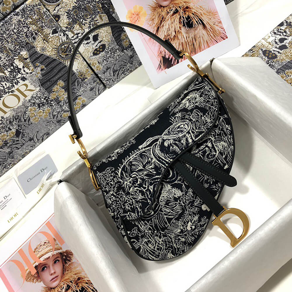 Dior SADDLE BAG - Image 2