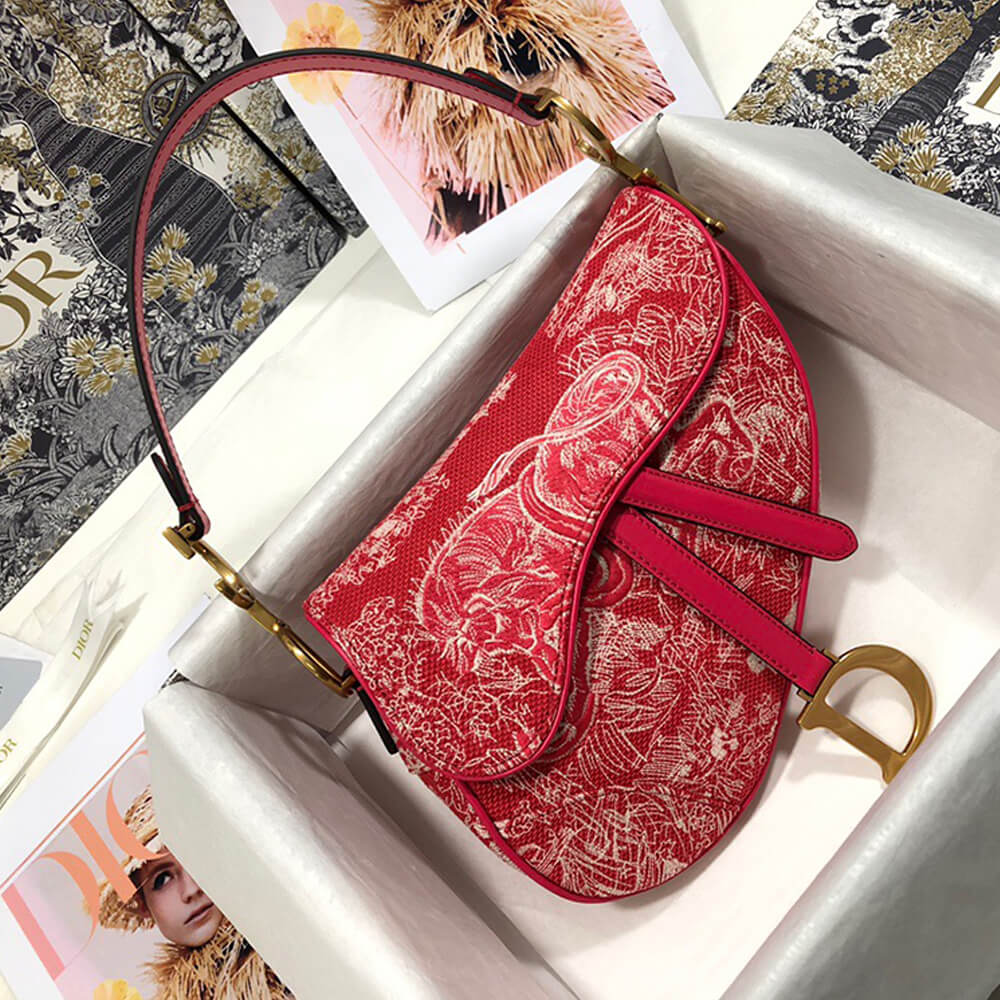 Dior SADDLE BAG - Image 2