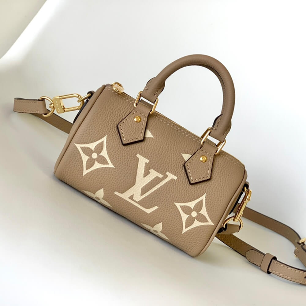 Gray LV Nano Speedy - Image 2