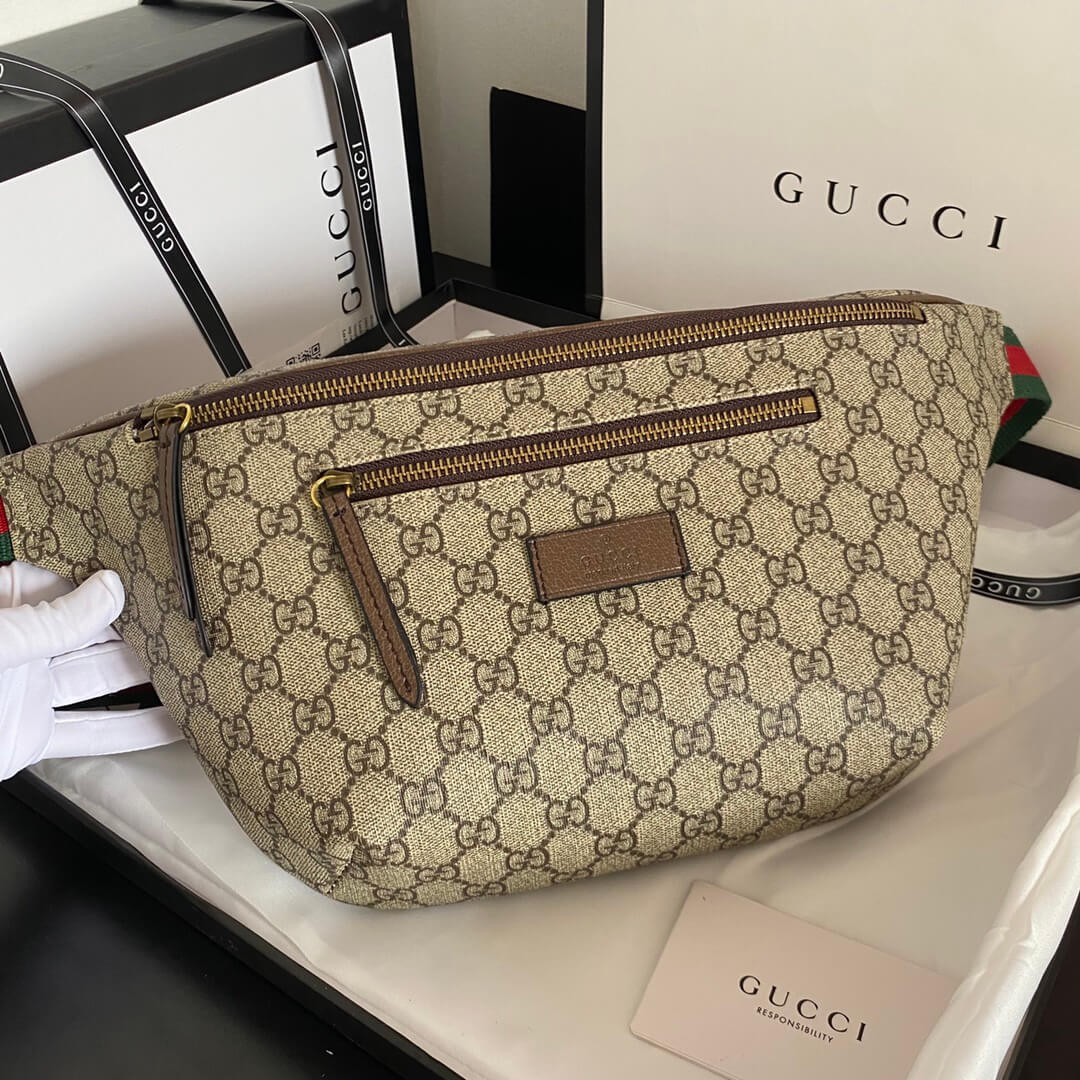 Gucci Belt Bag - Image 3