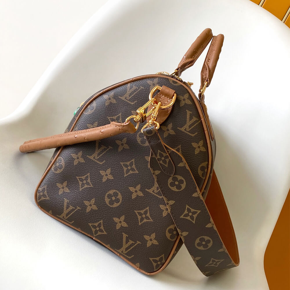 LV Speedy Soft 30 Boho - Image 3