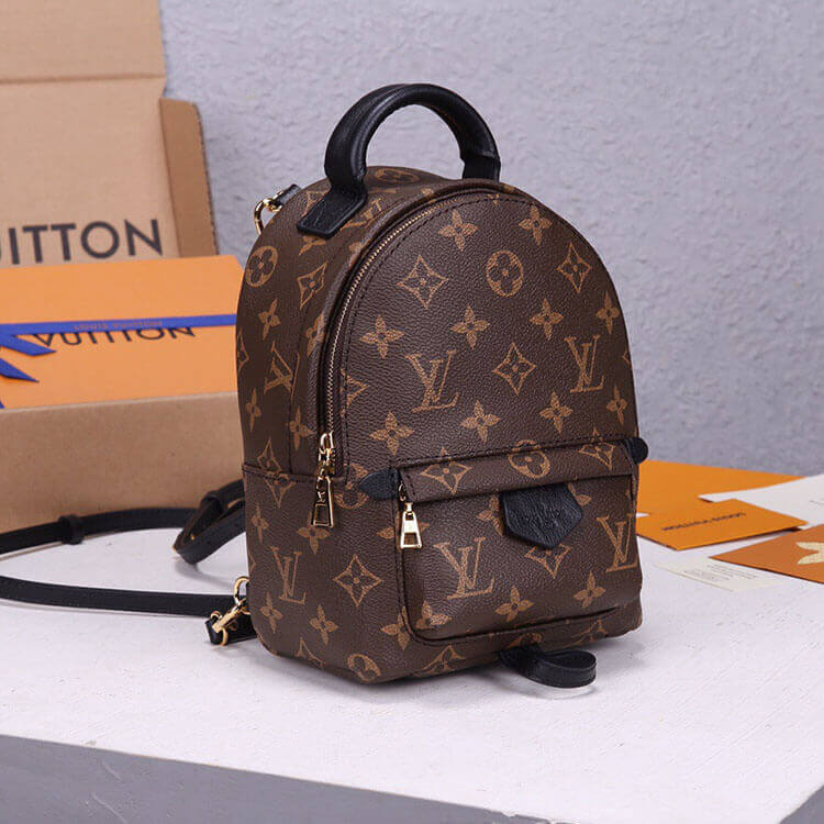 LV Palm Springs Mini Backpack - Image 4