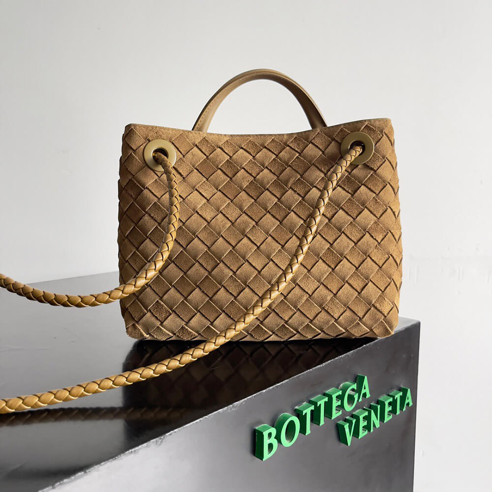 Brown Bottega Veneta Small Andiamo - Image 4