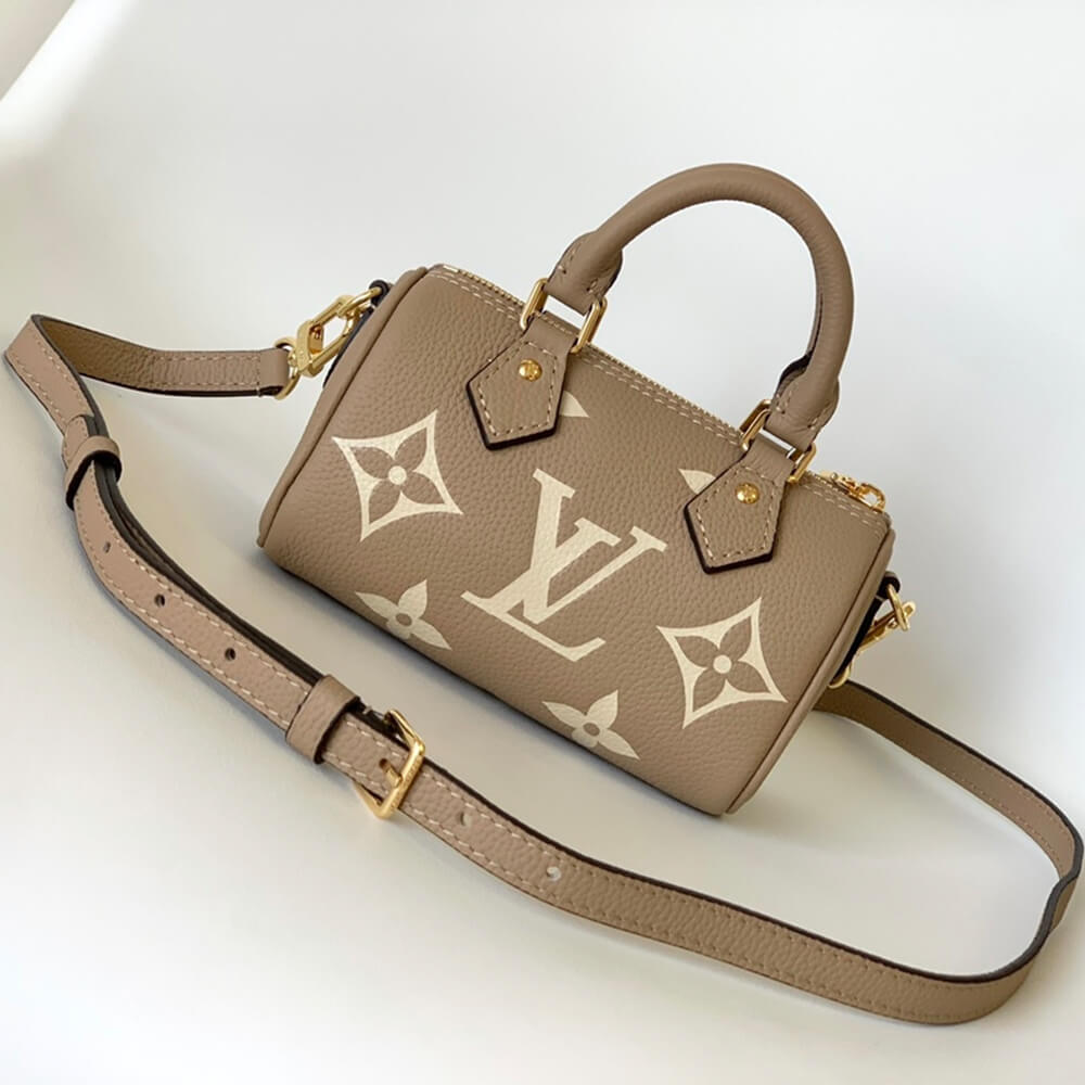Gray LV Nano Speedy - Image 4