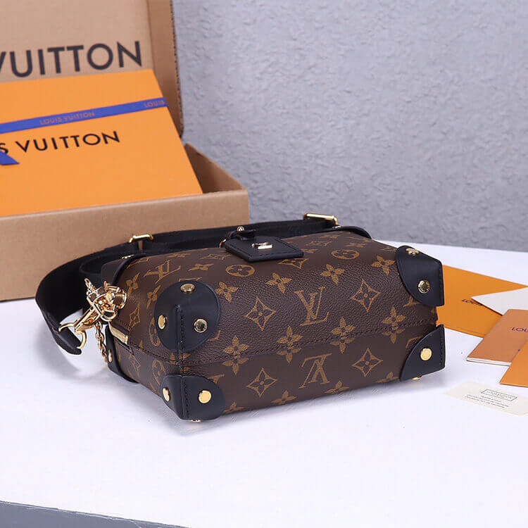 LV Petite Malle Souple Handbag - Image 4