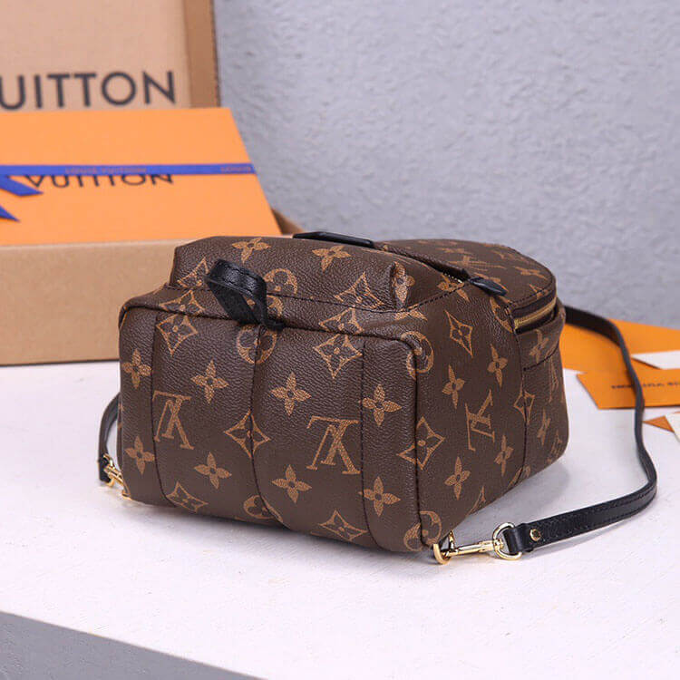 LV Palm Springs Mini Backpack - Image 5