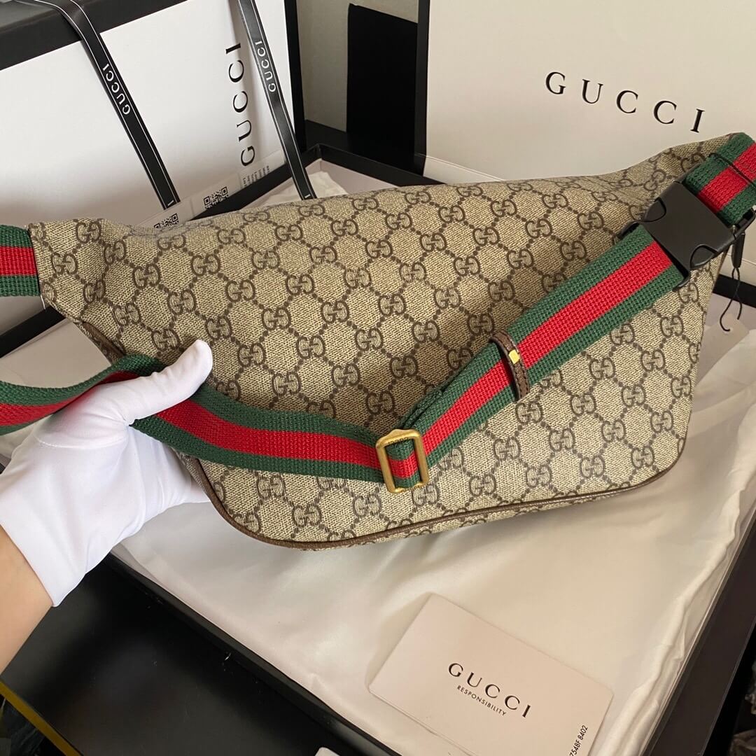 Gucci Belt Bag - Image 5
