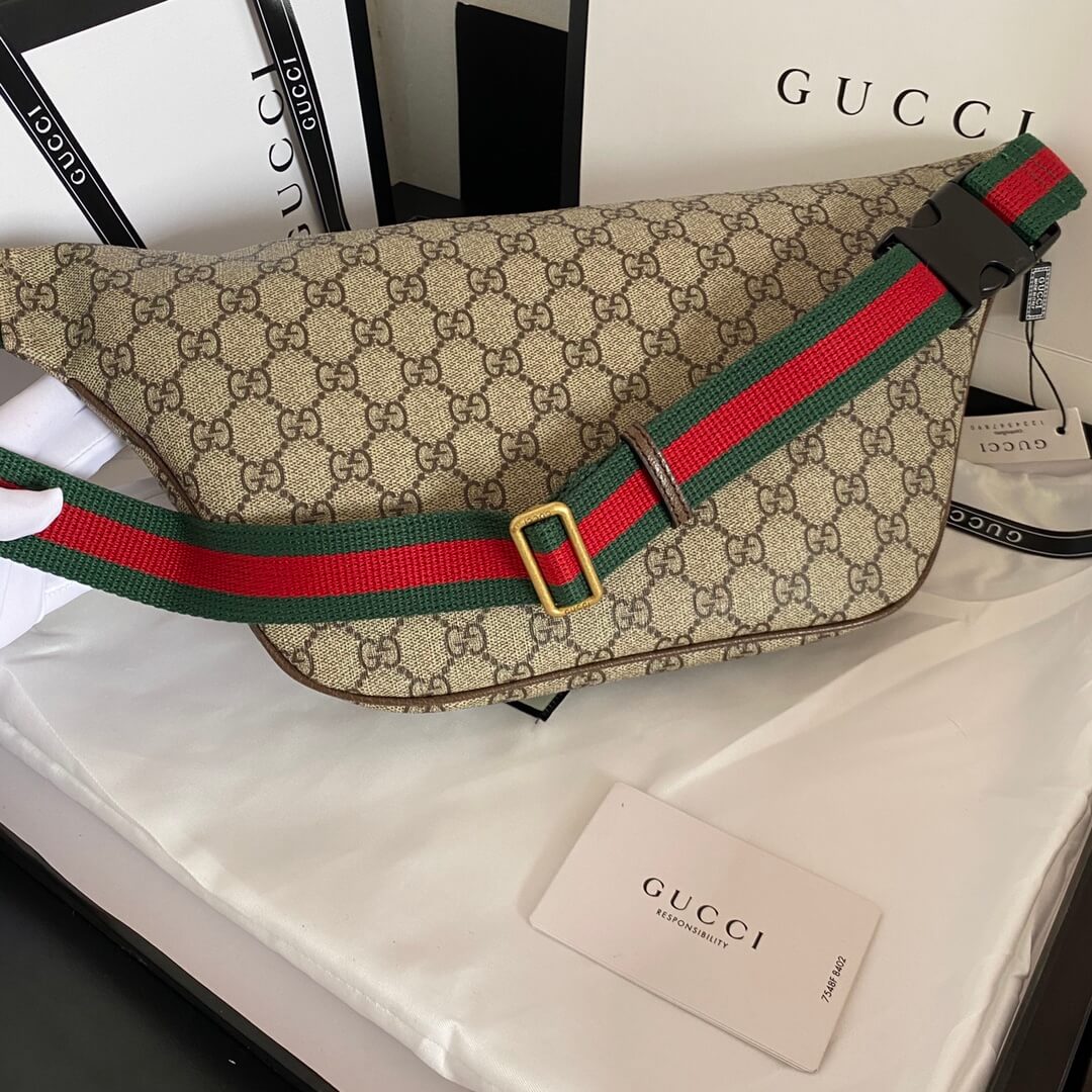 Gucci Belt Bag - Image 5