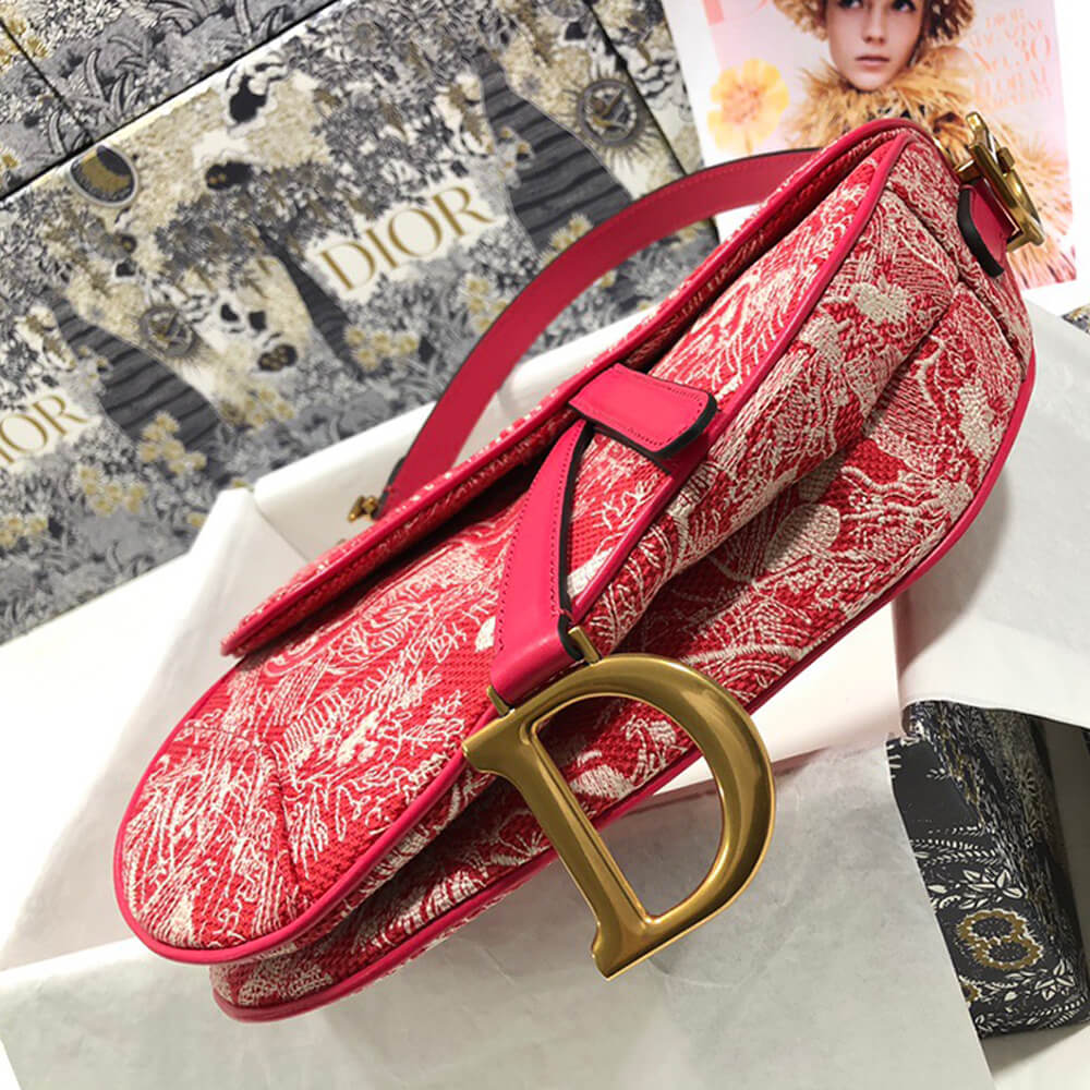 Dior SADDLE BAG - Image 5