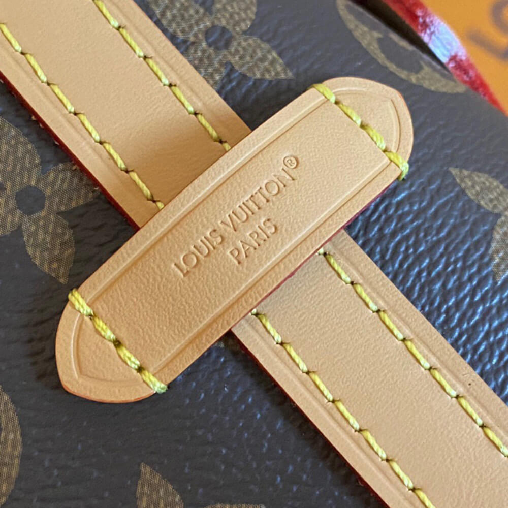 LV CarryAll BB - Image 5