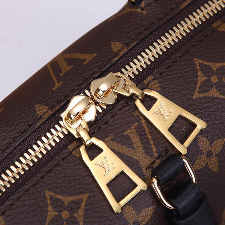 LV Petite Malle Souple Handbag - Image 5