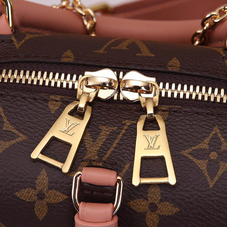 LV Petite Malle Souple Handbag - Image 5