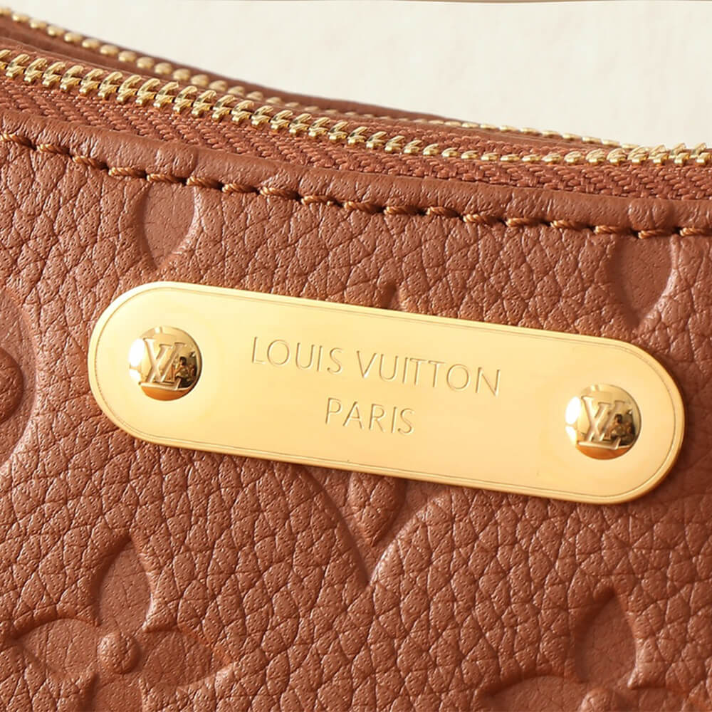 Brown LV Liv Pochette - Image 6
