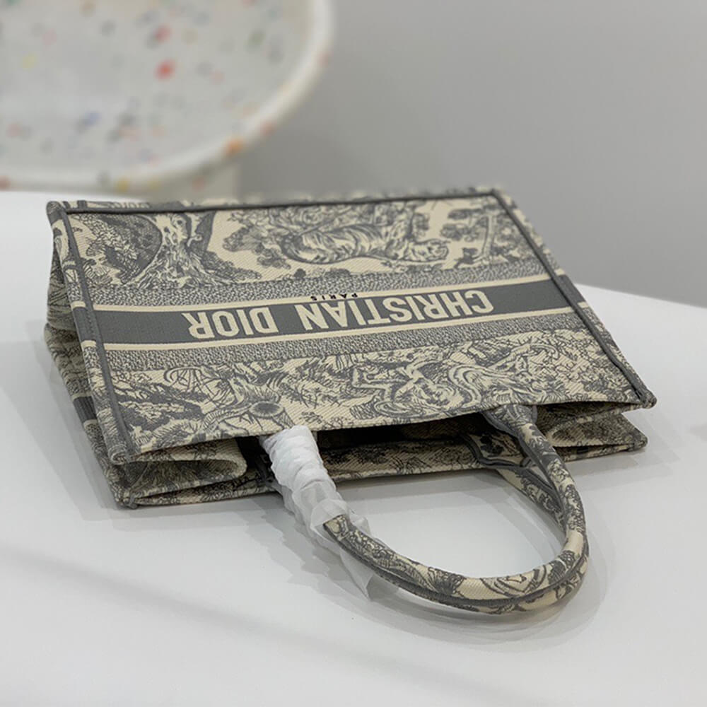 SMALL DIOR BOOK TOTE - Image 6