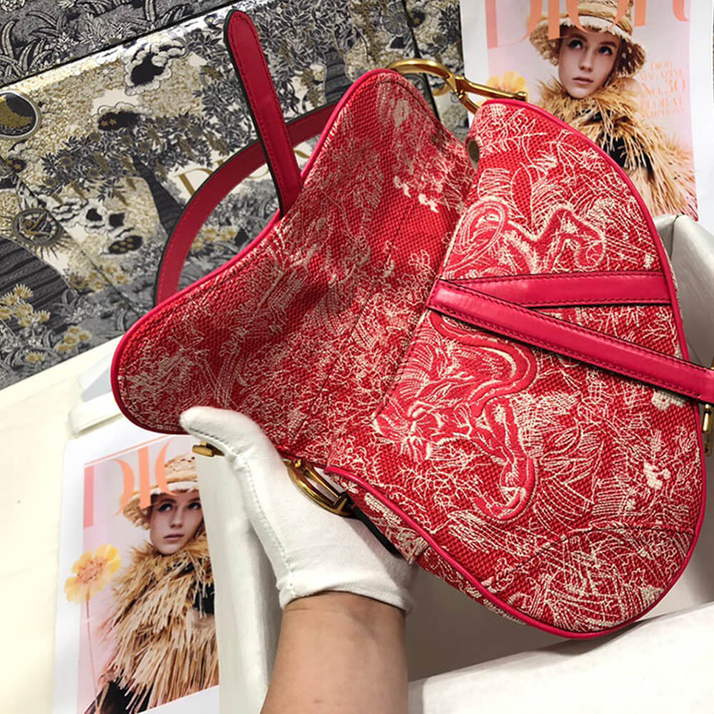 Dior SADDLE BAG - Image 6