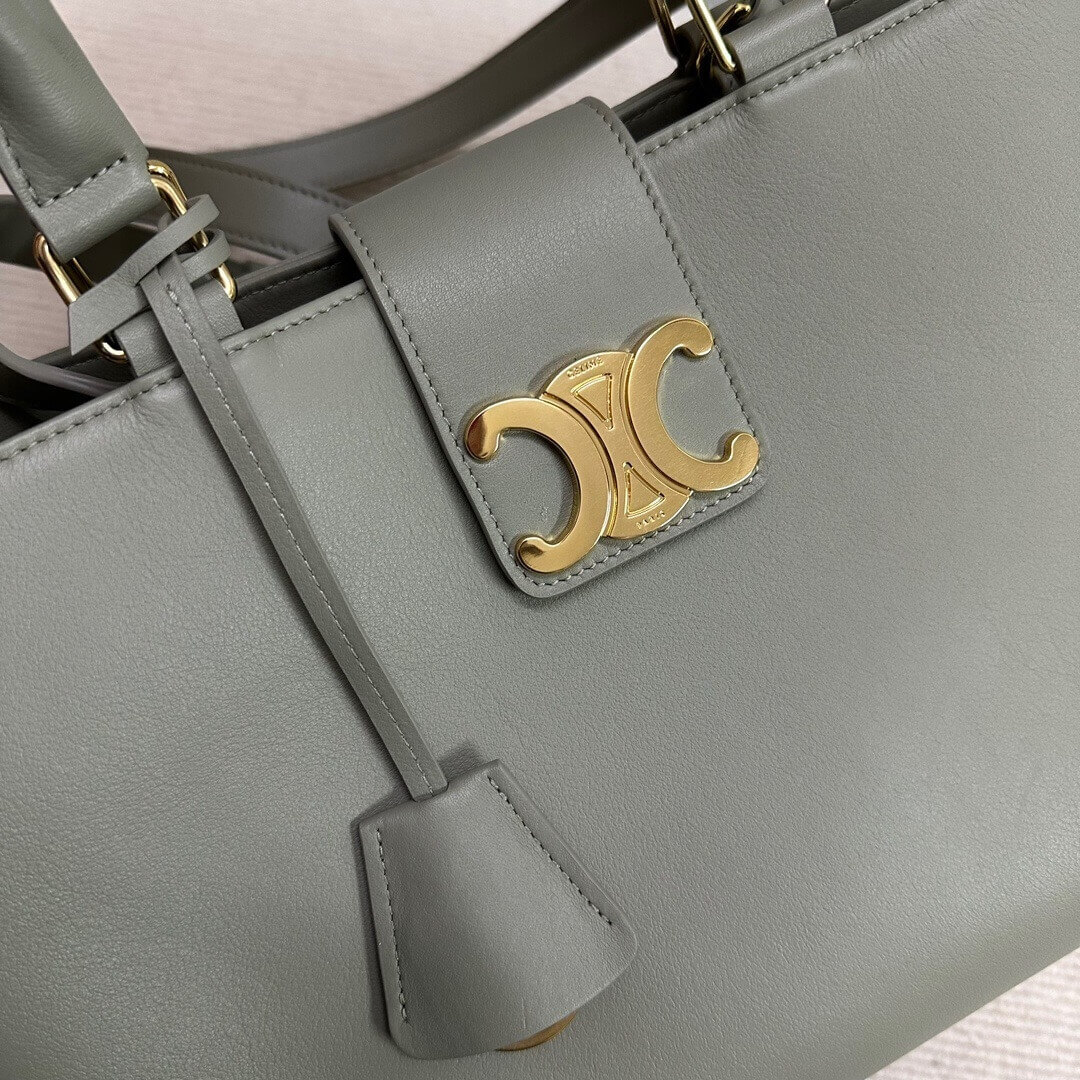 CELINE MEDIUM APPOLINE BAG IN SUPPLE CALFSKIN - Image 6