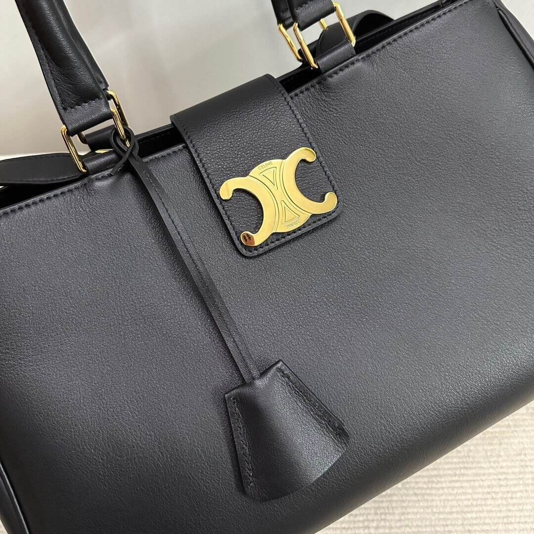 CELINE MEDIUM APPOLINE BAG IN SUPPLE CALFSKIN - Image 6