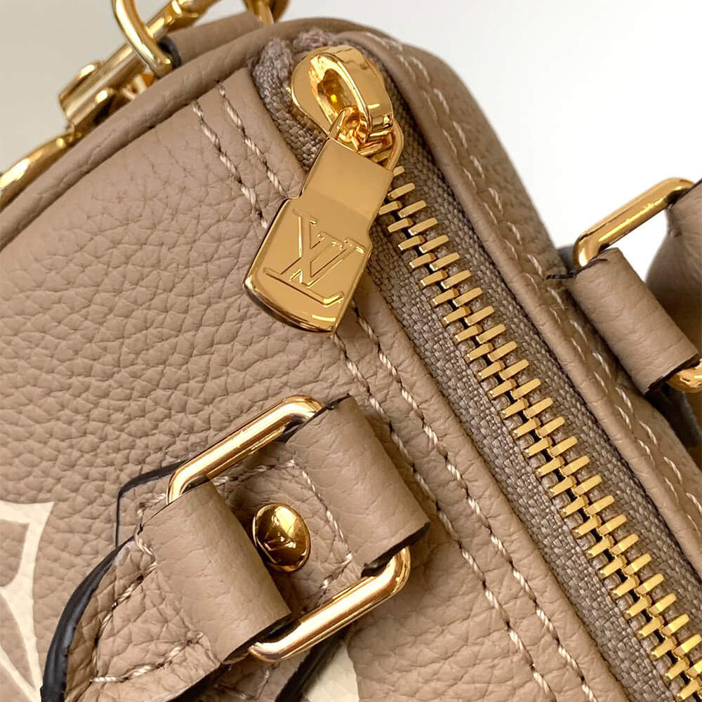 Gray LV Nano Speedy - Image 6