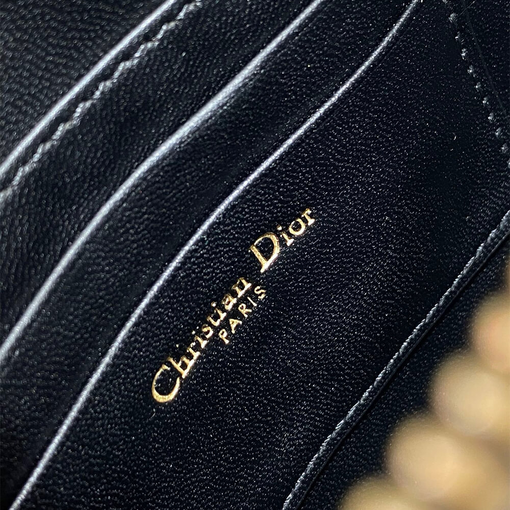 Dior Saddle Rodeo Pouch - Image 7