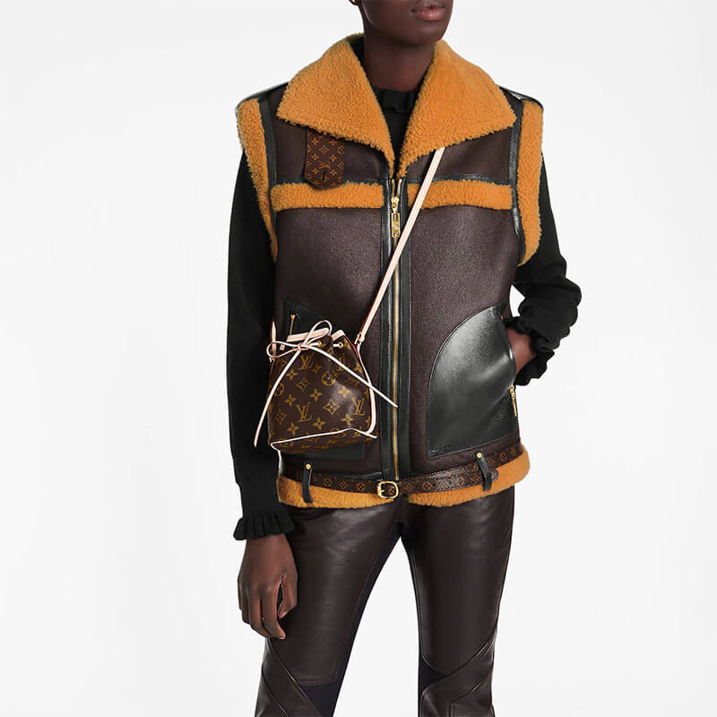 LV Nano Noe Bag - Image 7