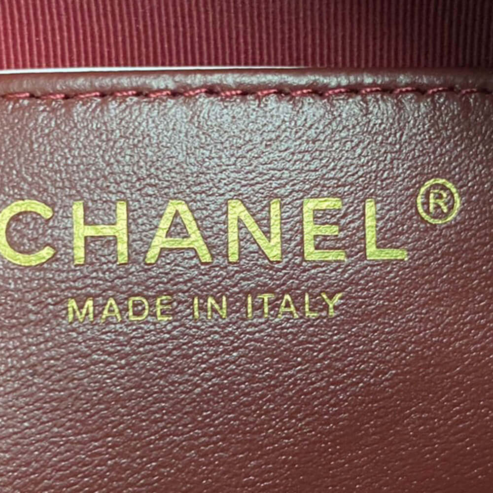 CHANEL Mini Camera Case - Image 7