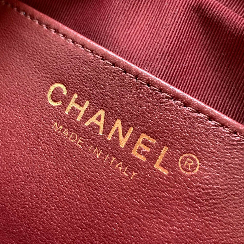 CHANEL Mini Camera Case - Image 7