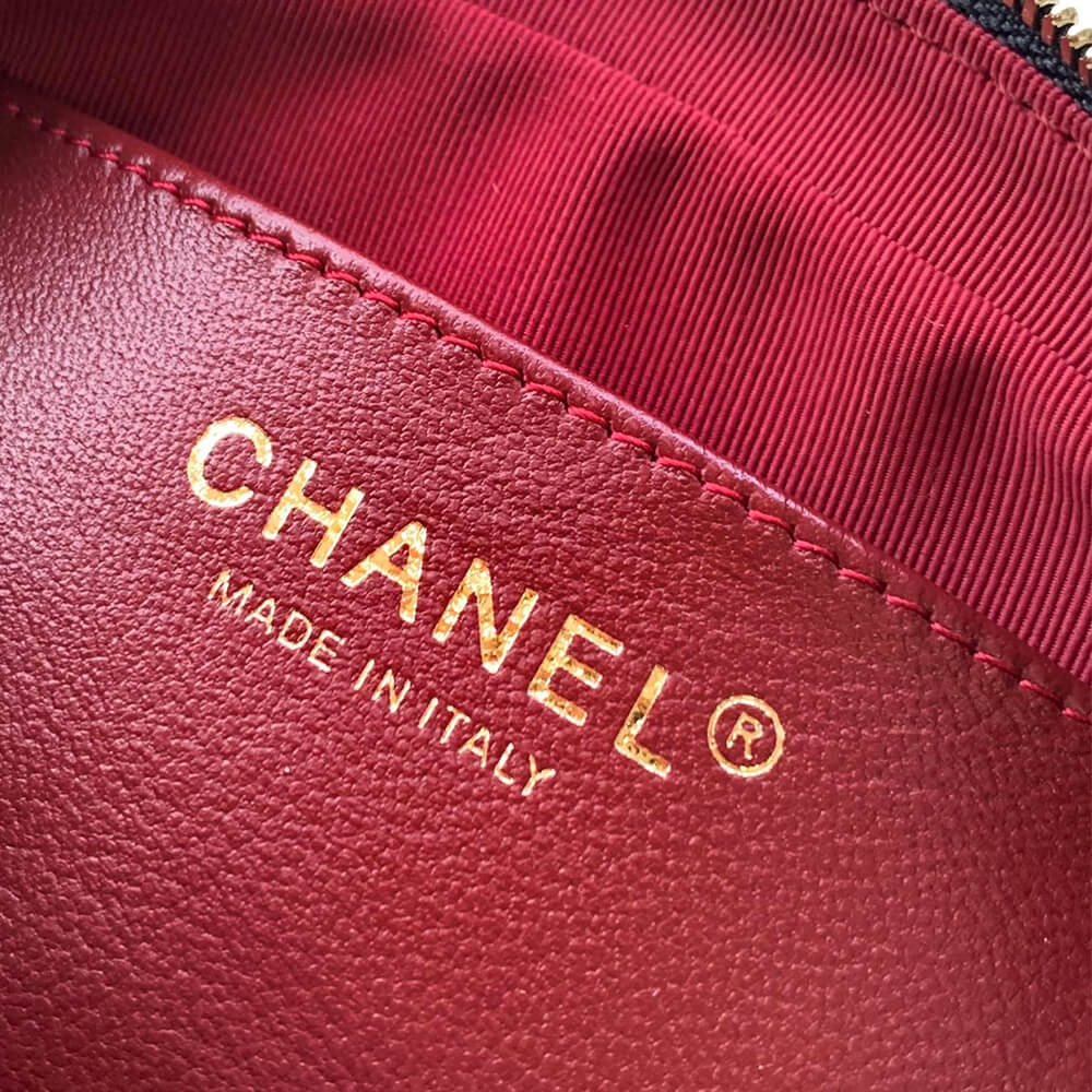 CHANEL Mini Camera Case - Image 7