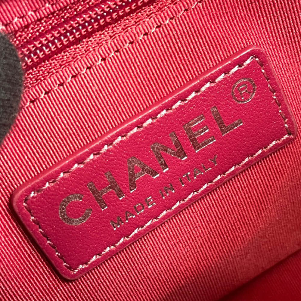 CHANEL?S GABRIELLE SMALL HOBO BAG - Image 7