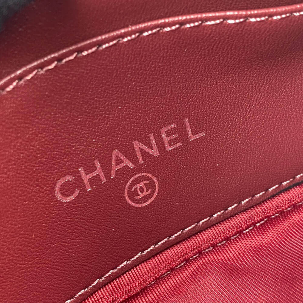 Chanel Classic Small Zip Clutch - Image 7