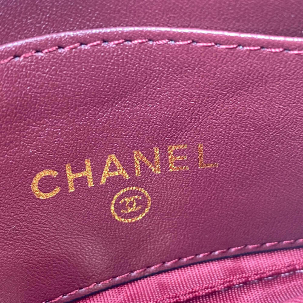 Chanel Classic Small Zip Clutch - Image 7