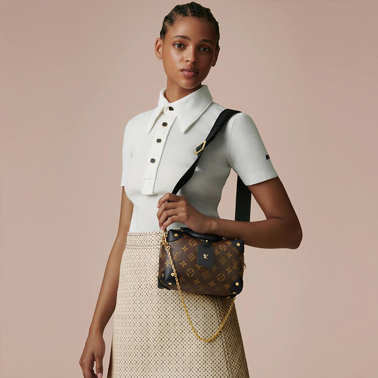 LV Petite Malle Souple Handbag - Image 7