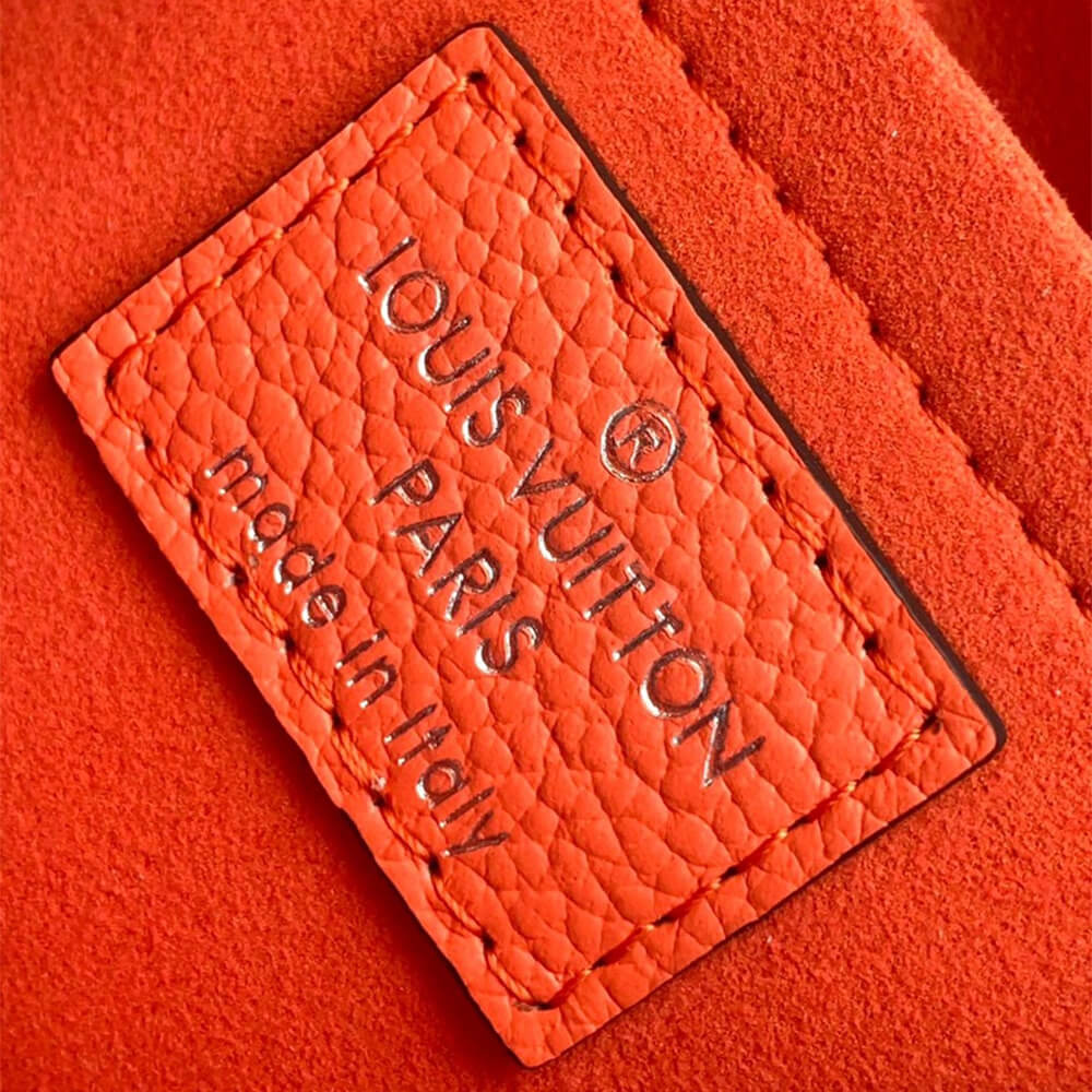 LV arellini - Image 8