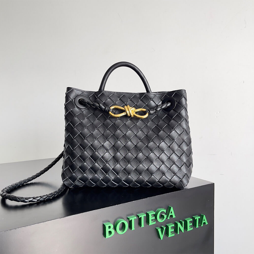 Bottega Veneta Small Andiamo - Image 2