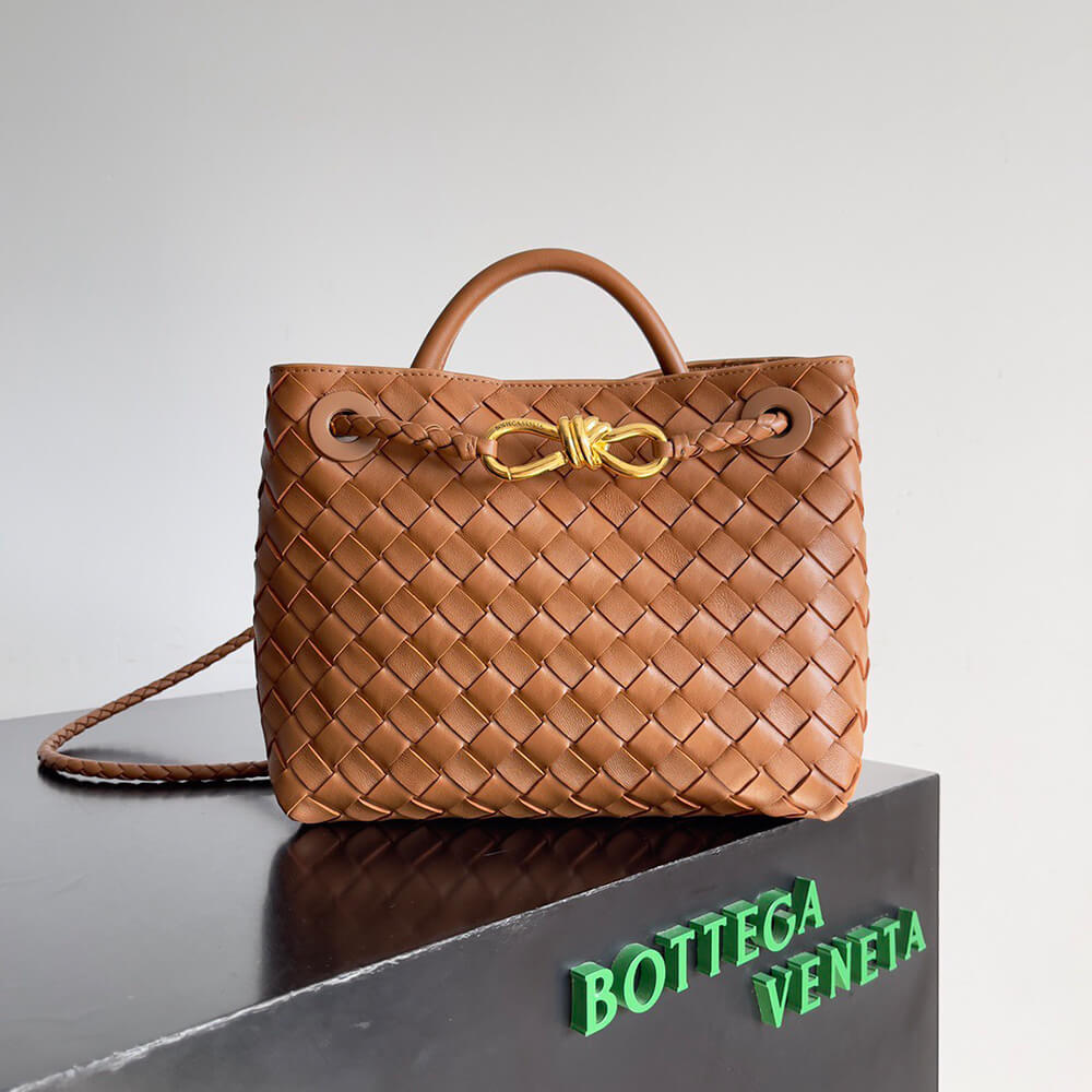 Brown Bottega Veneta Small Andiamo - Image 2