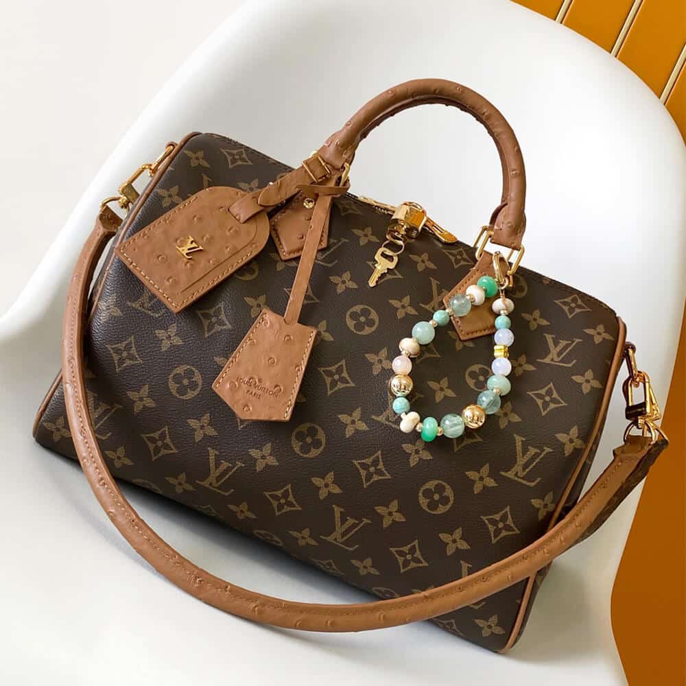 LV Speedy Soft 30 Boho - Image 2