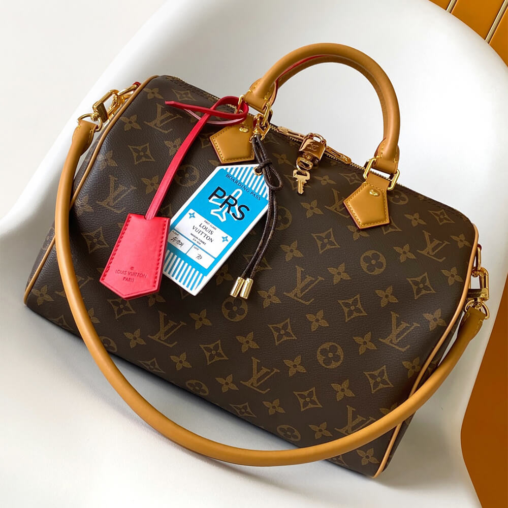 LV Speedy Soft 30 Crafty - Image 2