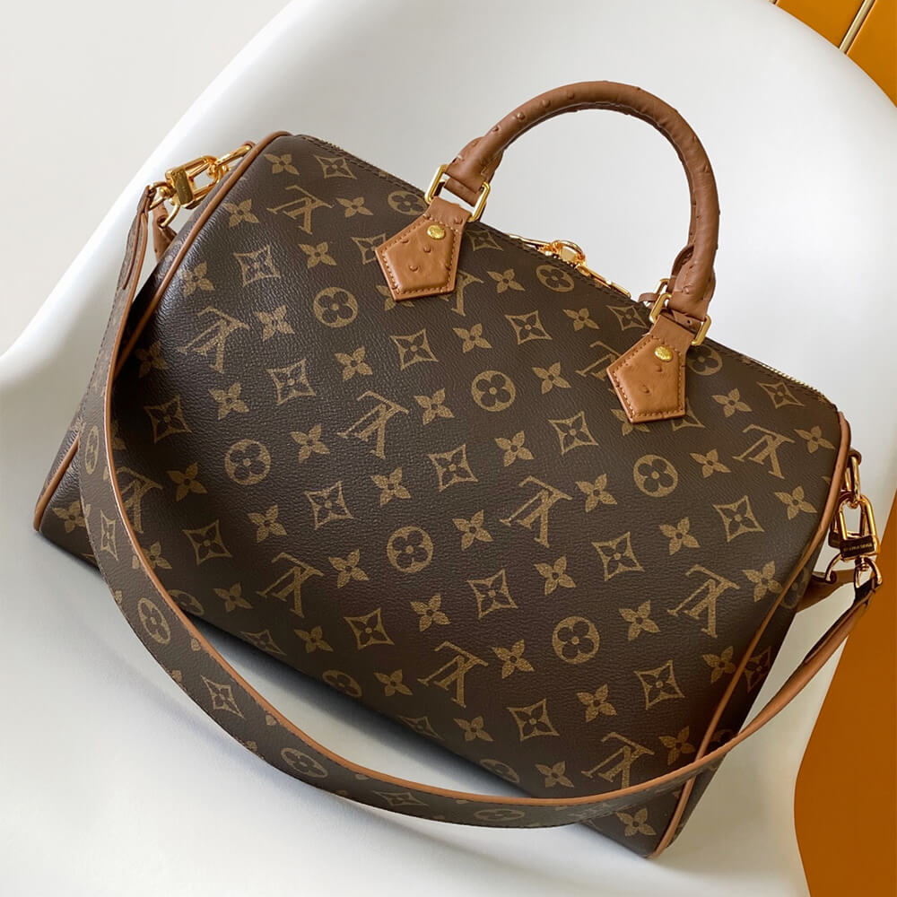 LV Speedy Soft 30 Boho - Image 4