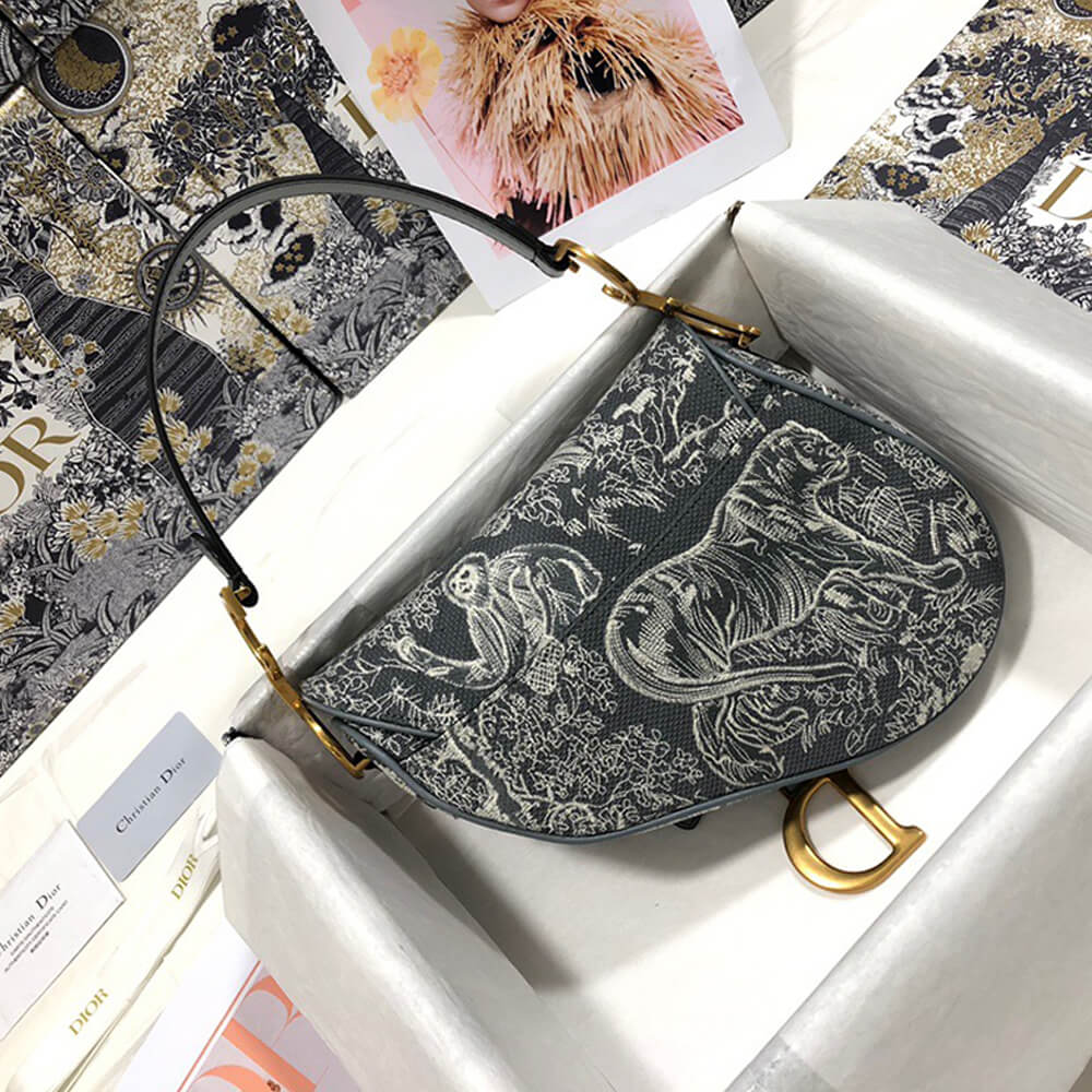 Dior SADDLE BAG - Image 4