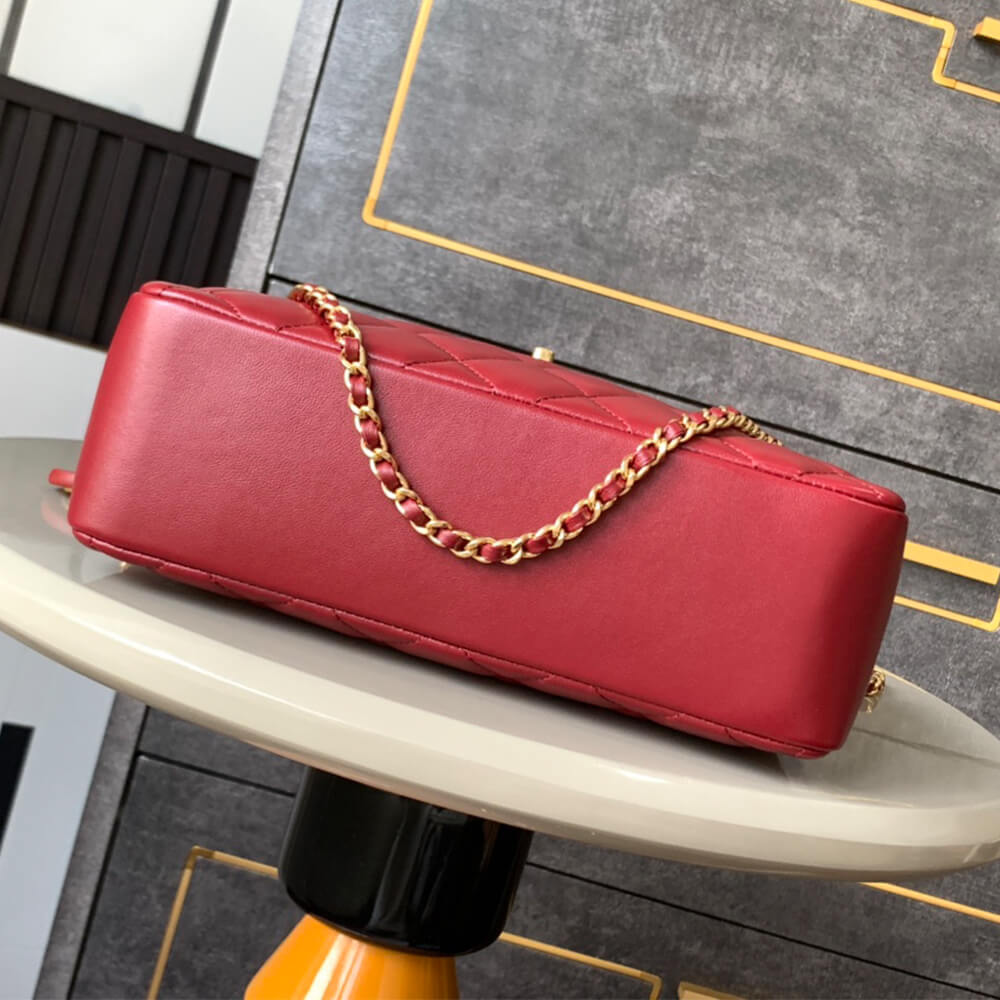 CHANEL large Camera Case - Image 5