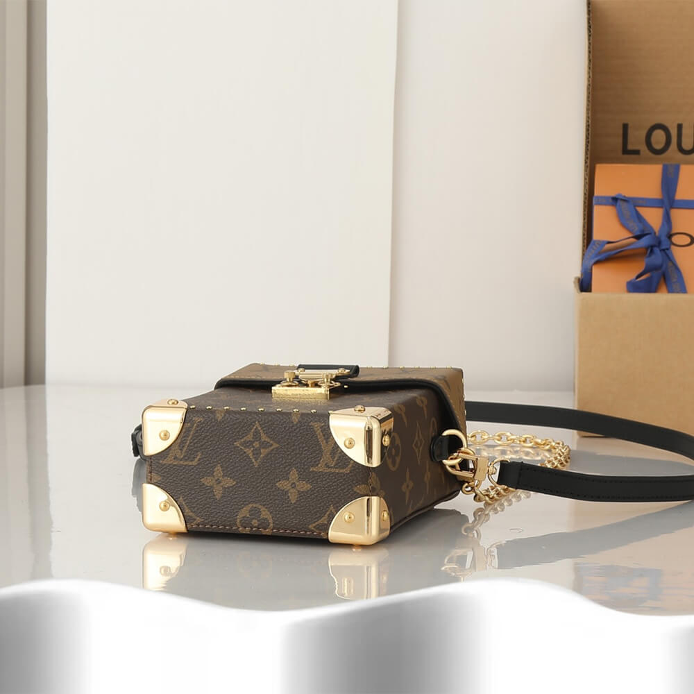 LV Camera Box Bag - Image 5