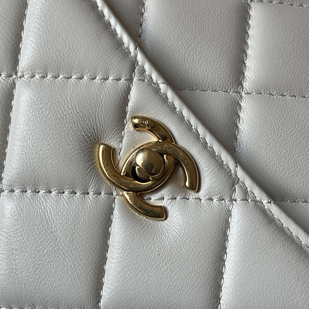 CHANEL large Camera Case - Image 6