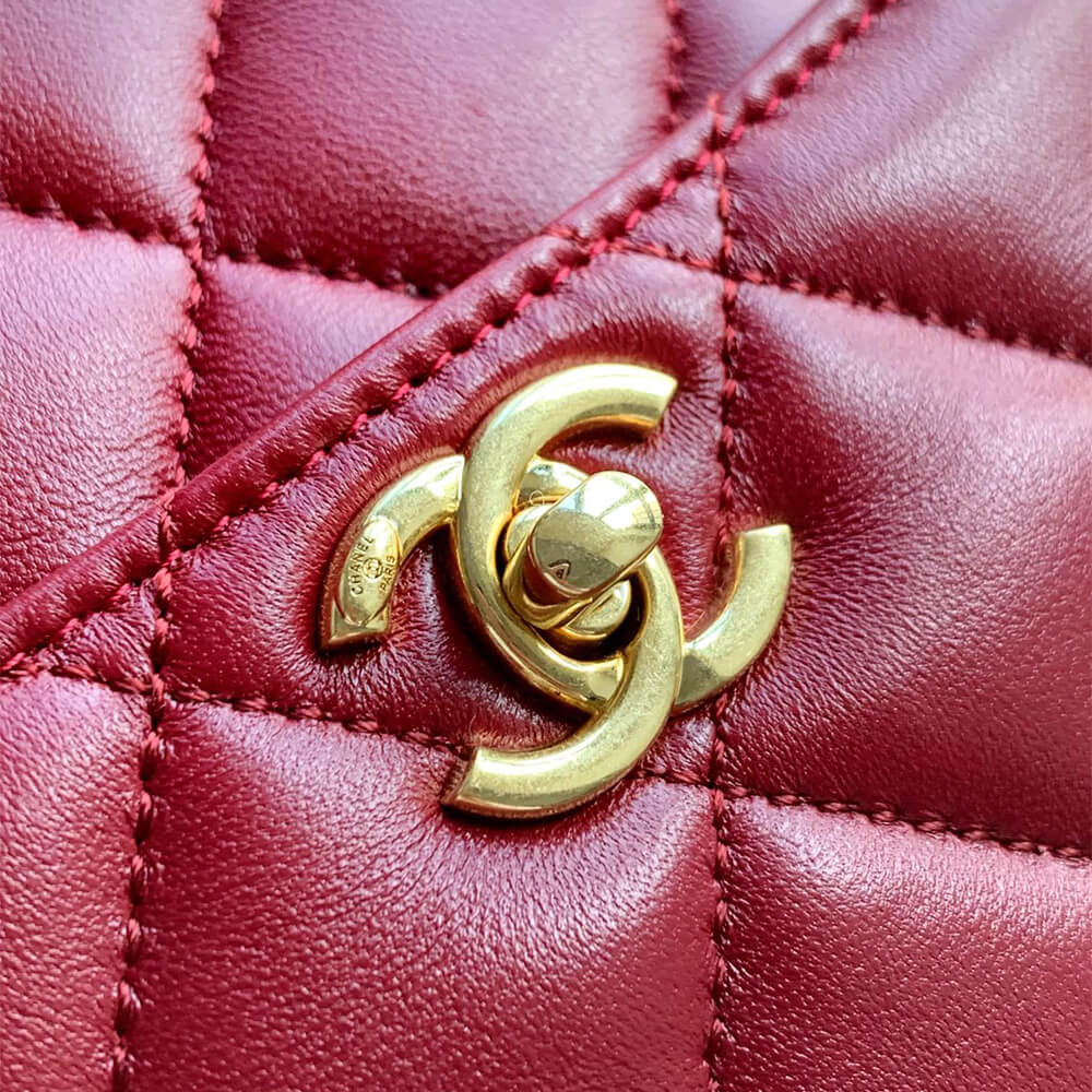 CHANEL large Camera Case - Image 6